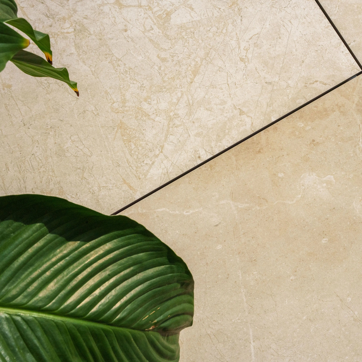 Terrassenplatte ARABIC Sand 60x60x2cm