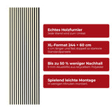 Akustikpaneel Premium Sand – Filz Schwarz 244 × 60 cm